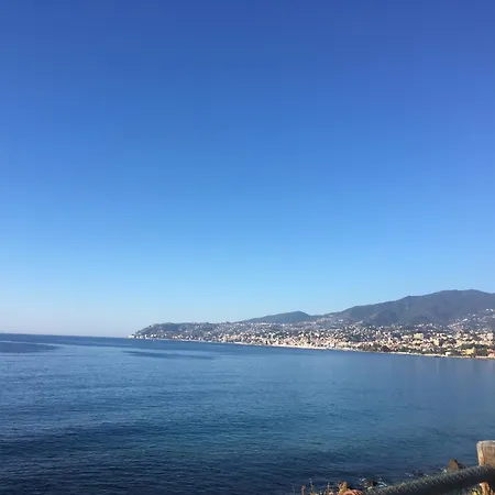 Festival's Sanremo