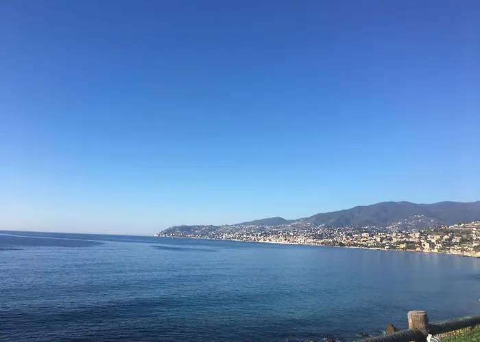 Festival's 산레모